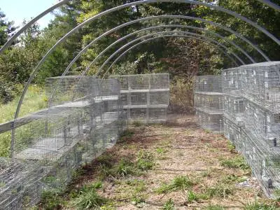 all wire meat or show rabbit cage plans 