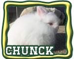 grand champion rabbit button