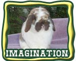 grand champion rabbit button