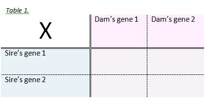 punnett square for use of rabbit genetics