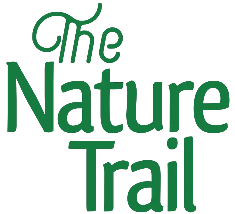 The Nature Trail